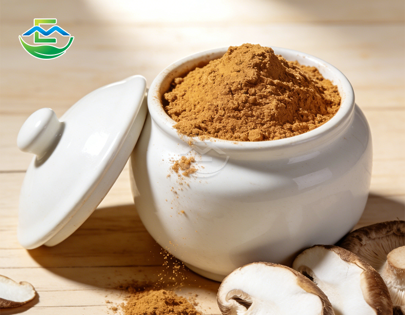shiitake mushroom extract powder